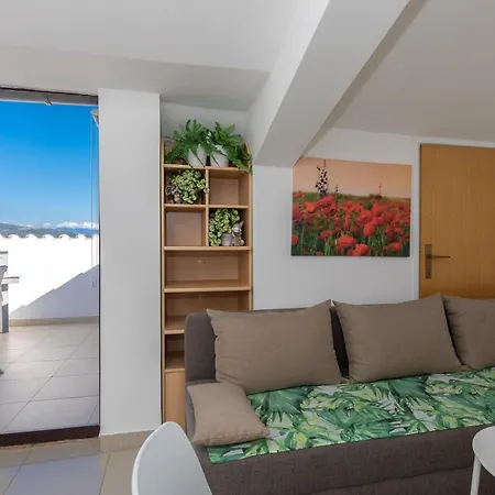 Guest house & Ivica