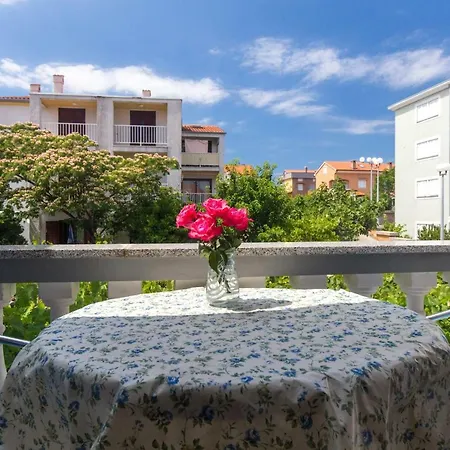 Guest house & Ivica